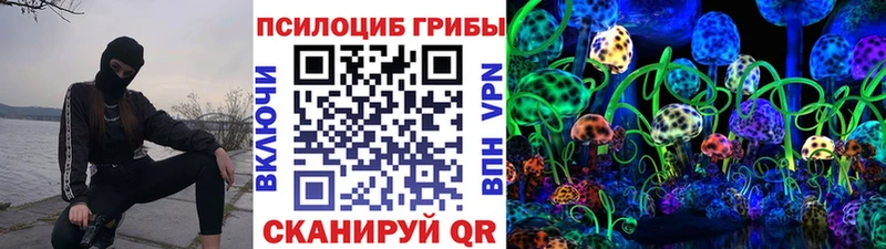 где можно купить   Нальчик  Псилоцибиновые грибы мухоморы 