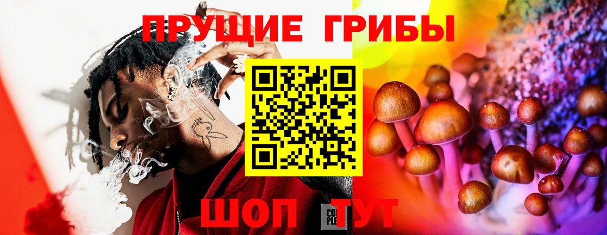 Псилоцибиновые грибы Psilocybine cubensis  наркошоп  Нальчик  Галлюциногенные грибы MAGIC MUSHROOMS  Вход с VPN 